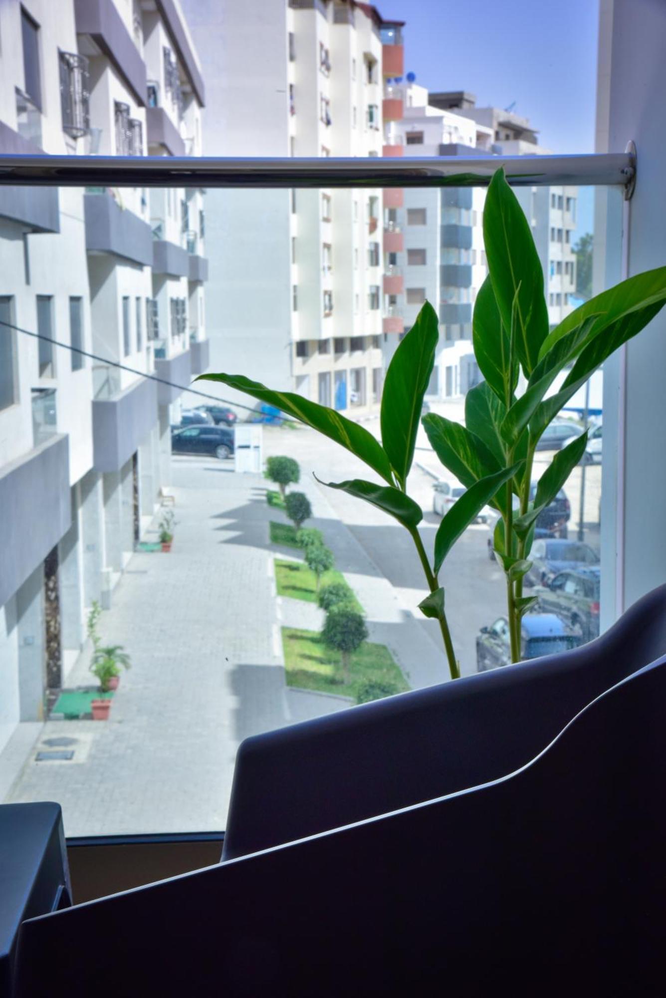 Luxueux Appartement